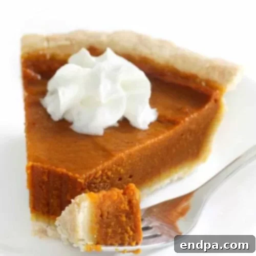 39 Must-Try Pie Recipes 11 A beautifully baked Gluten-Free Vegan Pumpkin Pie, a healthy, allergy-friendly, and delicious alternative for dietary preferences.