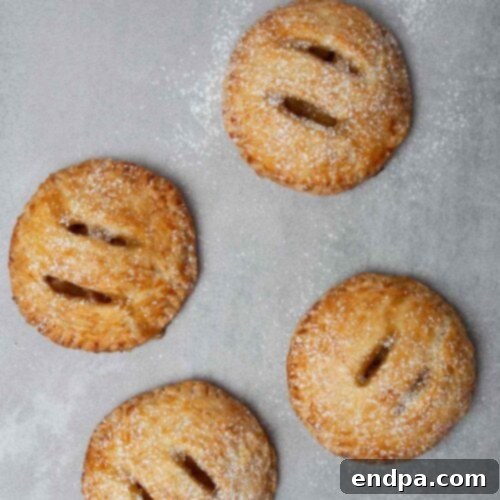 39 Must-Try Pie Recipes 18 Cute, individual Easy Apple Hand Pies, golden-brown and perfect for sharing or single servings, easier than a full-sized apple pie.