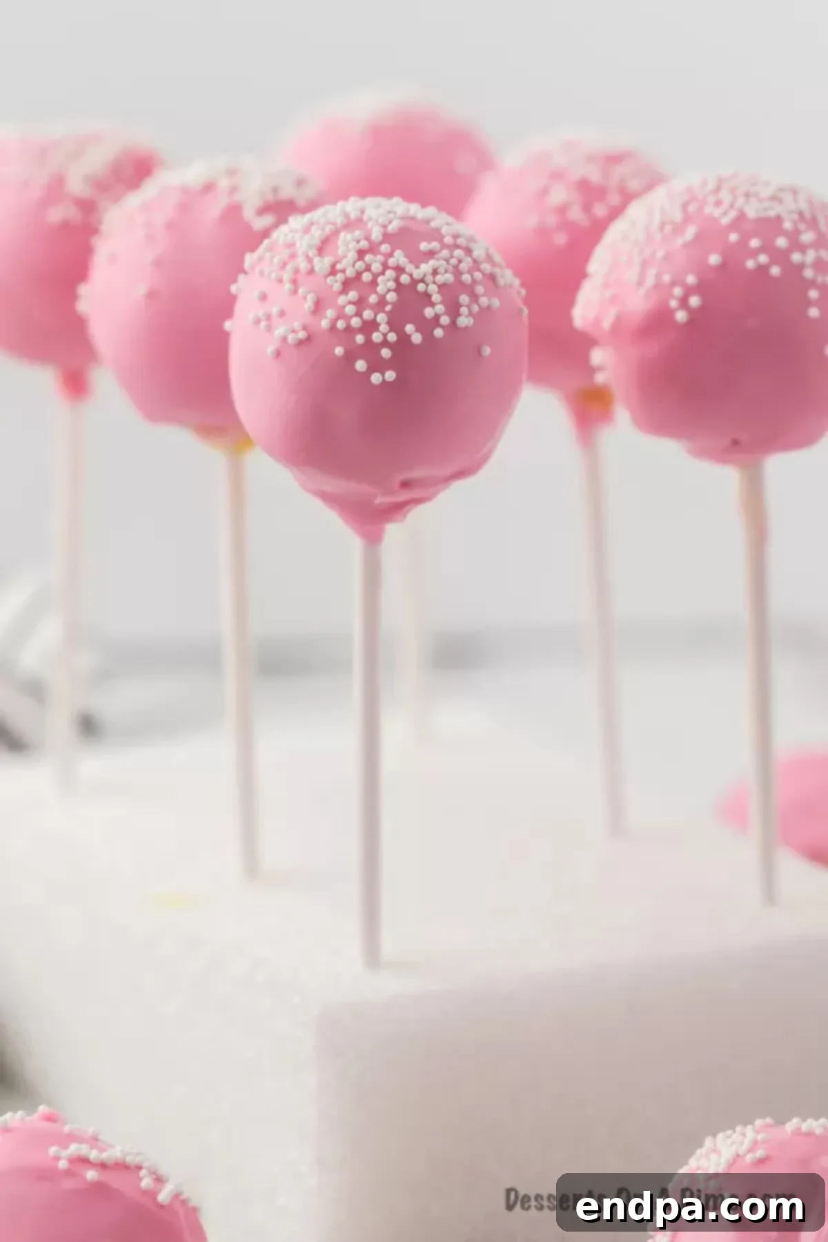 Copycat Starbucks Cake Pops 2 Delicious homemade copycat Starbucks cake pops arranged in Styrofoam