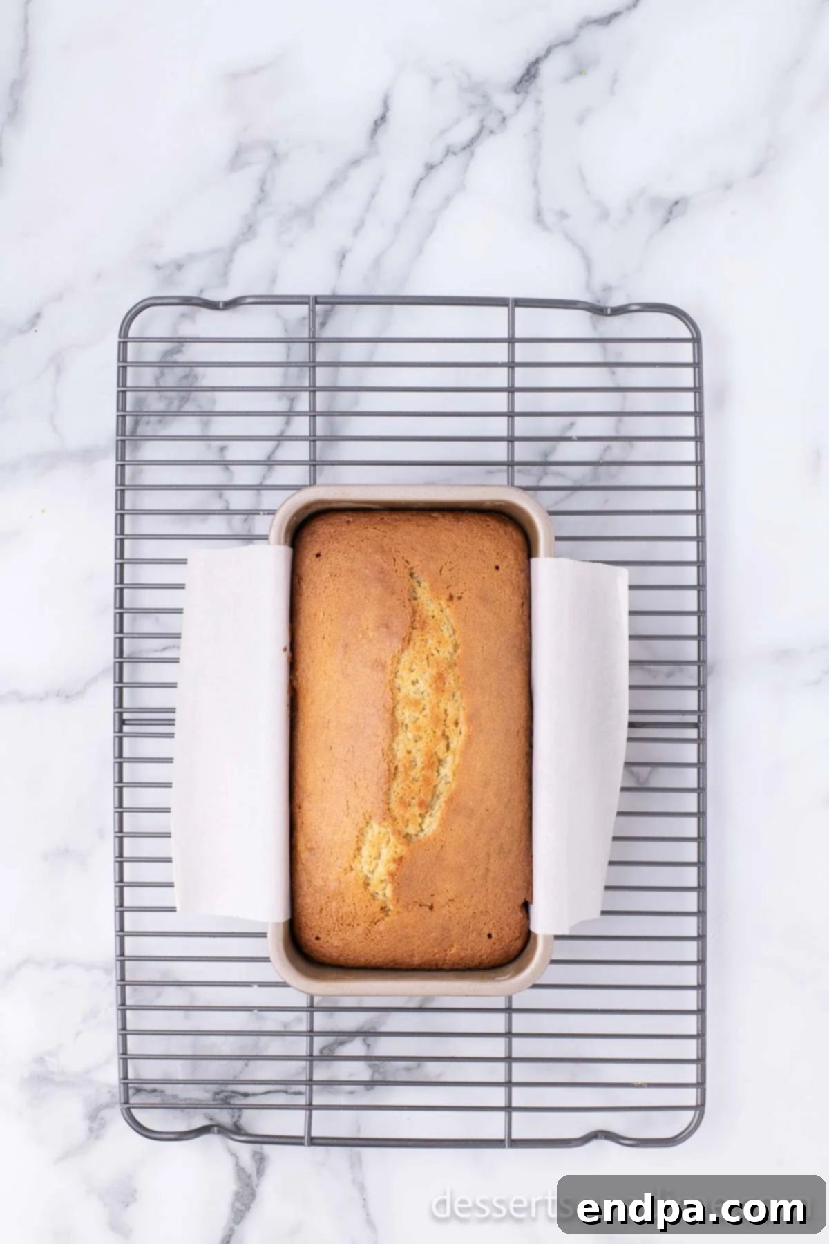 Starbucks Famous Lemon Loaf At Home 7 A freshly baked lemon loaf, golden brown and cooling in its pan on a wire rack.