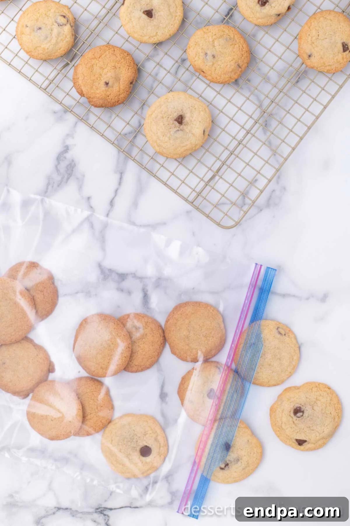Cooled chocolate chip cookies neatly stacked inside a freezer-safe plastic bag, ready to be placed in the freezer.