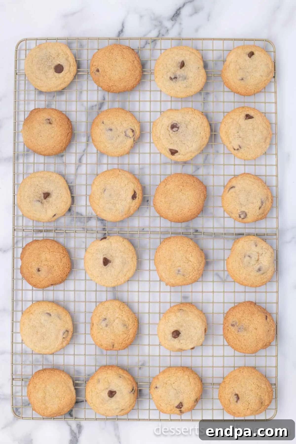 Freshly baked chocolate chip cookies cooling on a wire rack after being removed from the baking sheet.