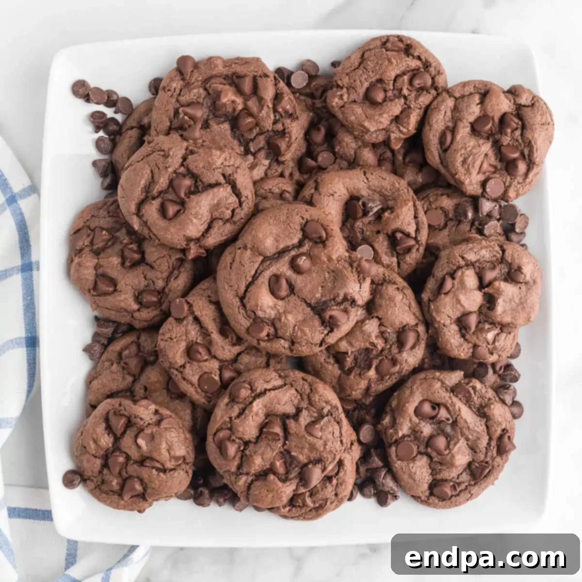 Fudgy Chocolate Cake Mix Cookies 11 Chocolate chip cookies on a white plate.