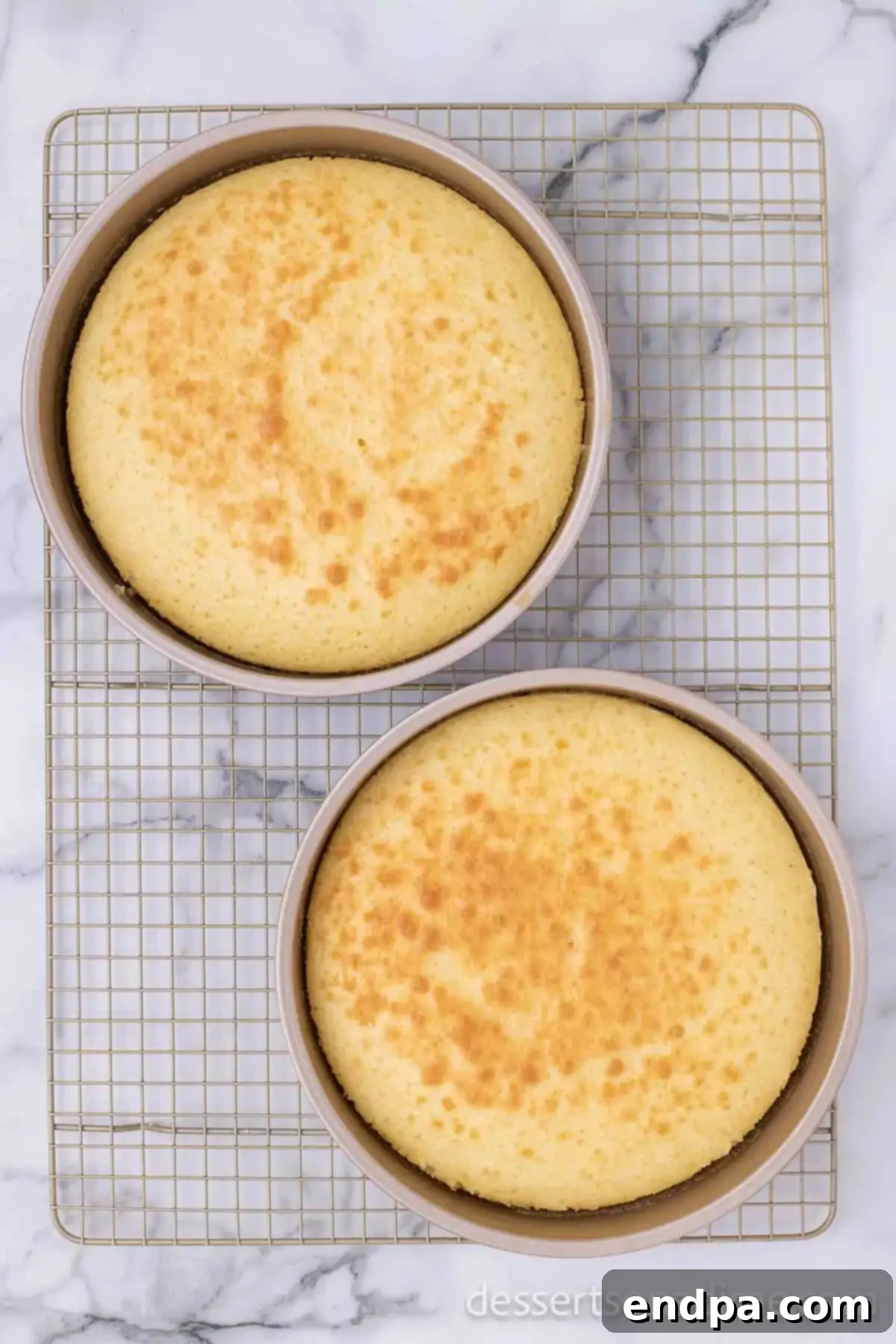 Baked white cake layers cooling on a wire rack.