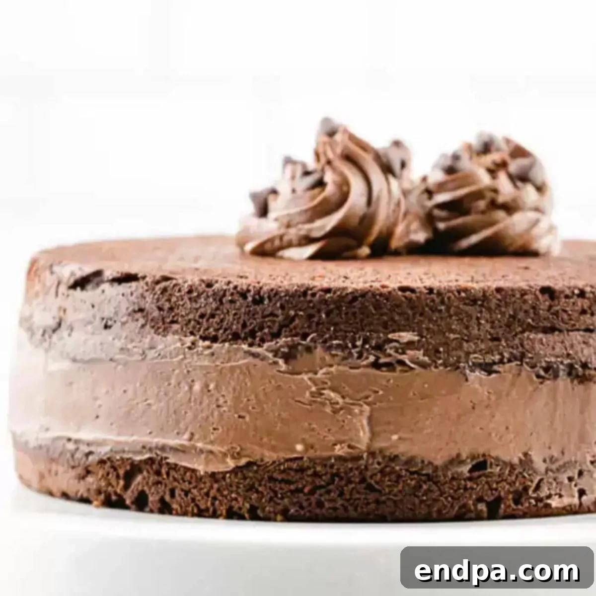 Close up image of chocolate frosting on a cake.