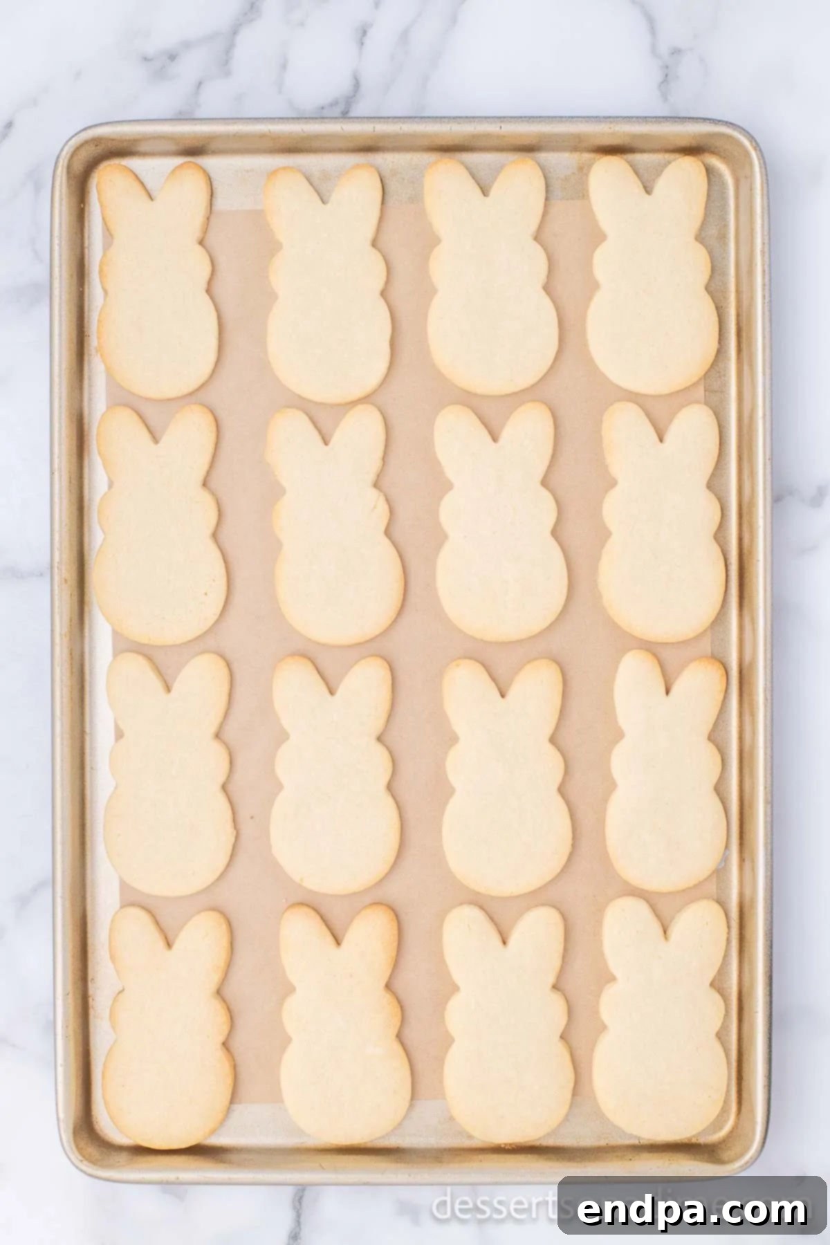 Hoppy Easter Cookie Creations 9 Freshly baked bunny cookies cooling on a wire rack after being removed from the oven.