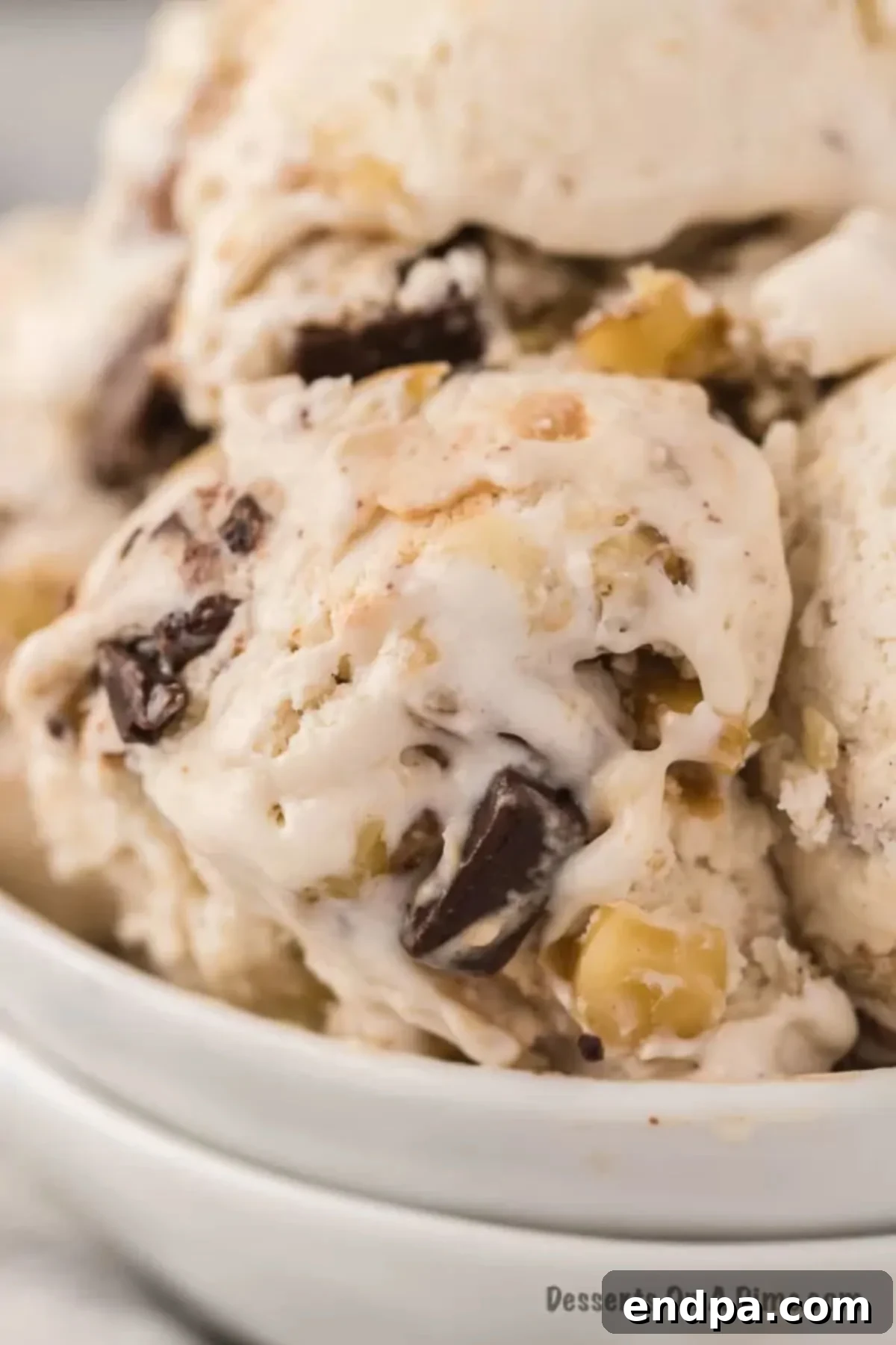 Banana Nut Fudge Frenzy 2 Chunky monkey ice cream in a bowl, showing chocolate chunks and walnuts.