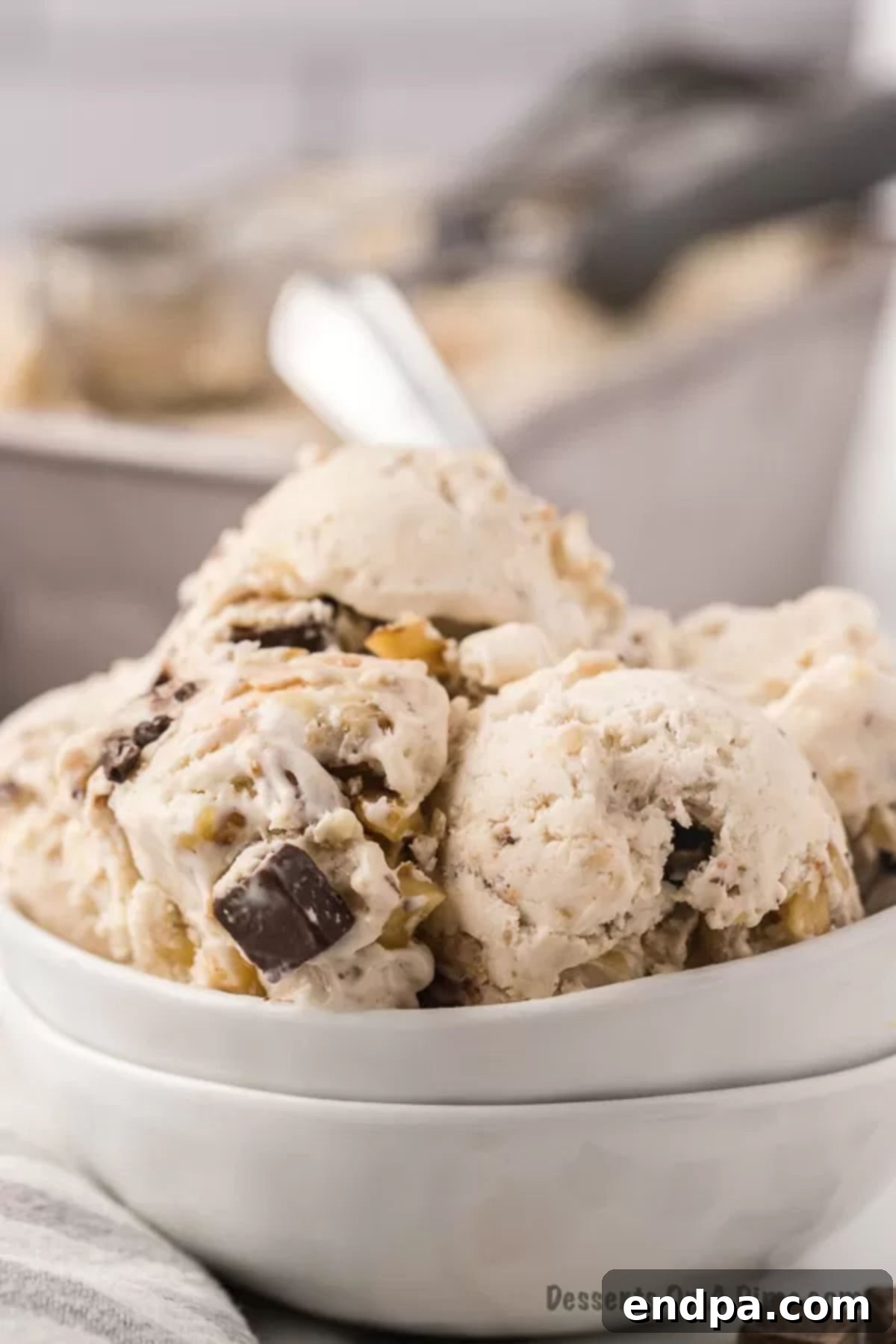 Banana Nut Fudge Frenzy 9 Ice Cream in a bowl.
