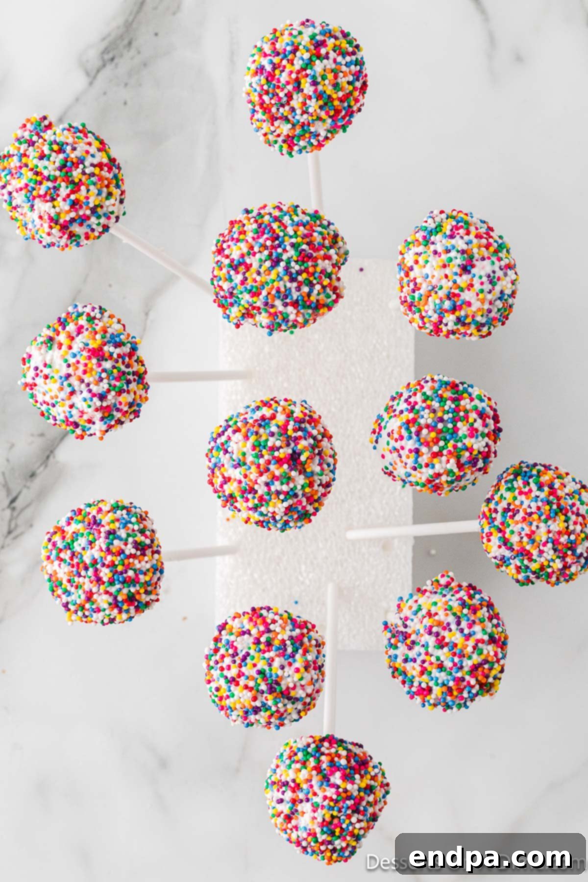 Finished cake pops with sprinkles inserted into a Styrofoam block for drying.