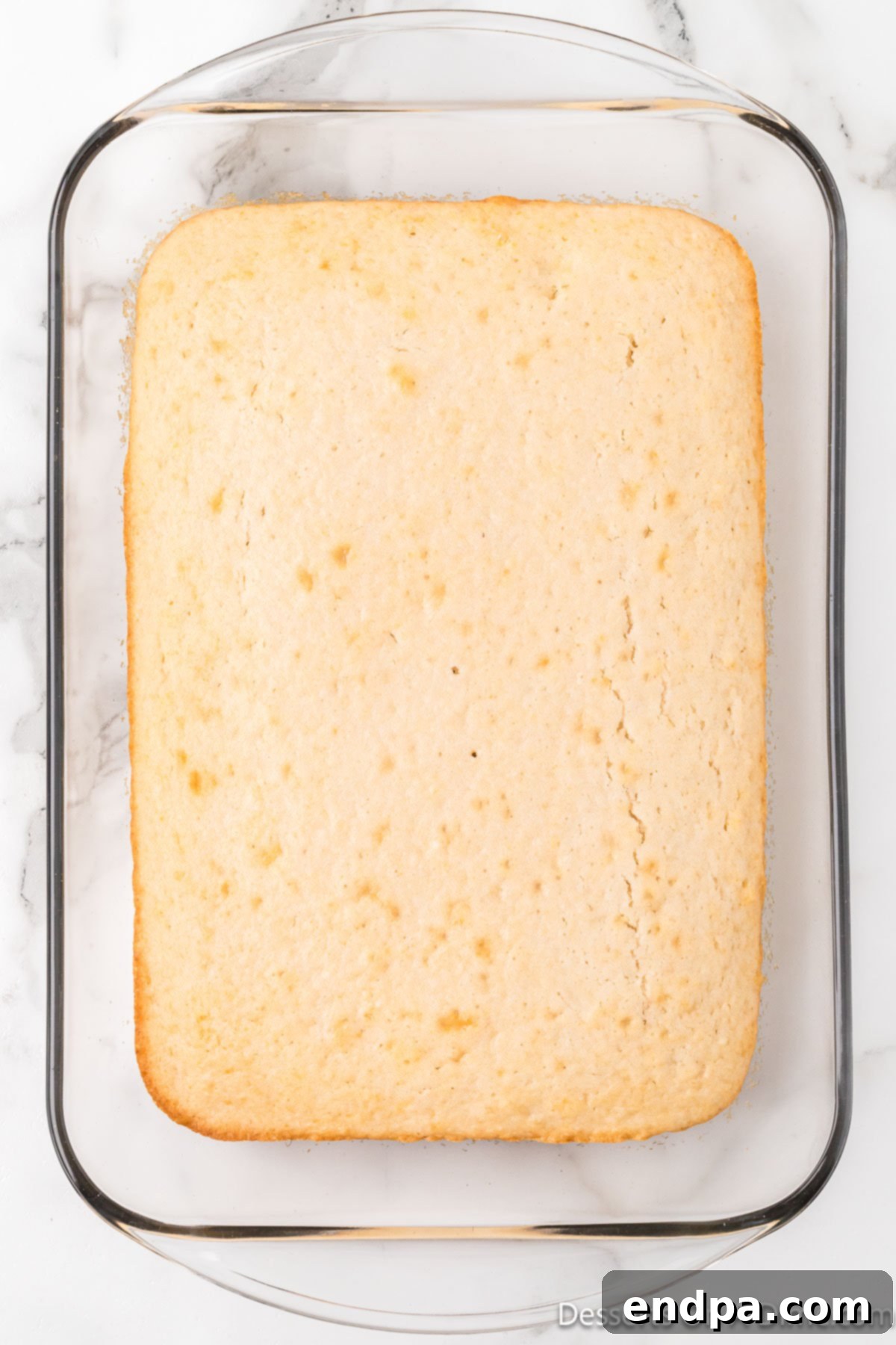 Freshly baked cake cooling in the baking dish.