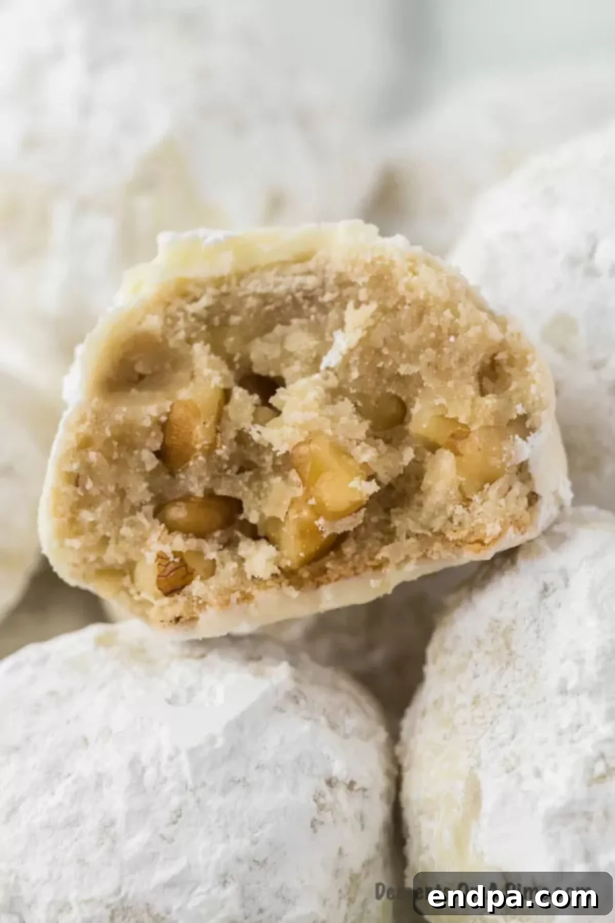Powdered Sugar Dreams 2 Russian tea cakes up close.