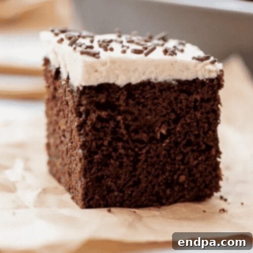 A decadent slice of Mexican Chocolate Cake, rich and moist, with a hint of cinnamon and cayenne pepper.