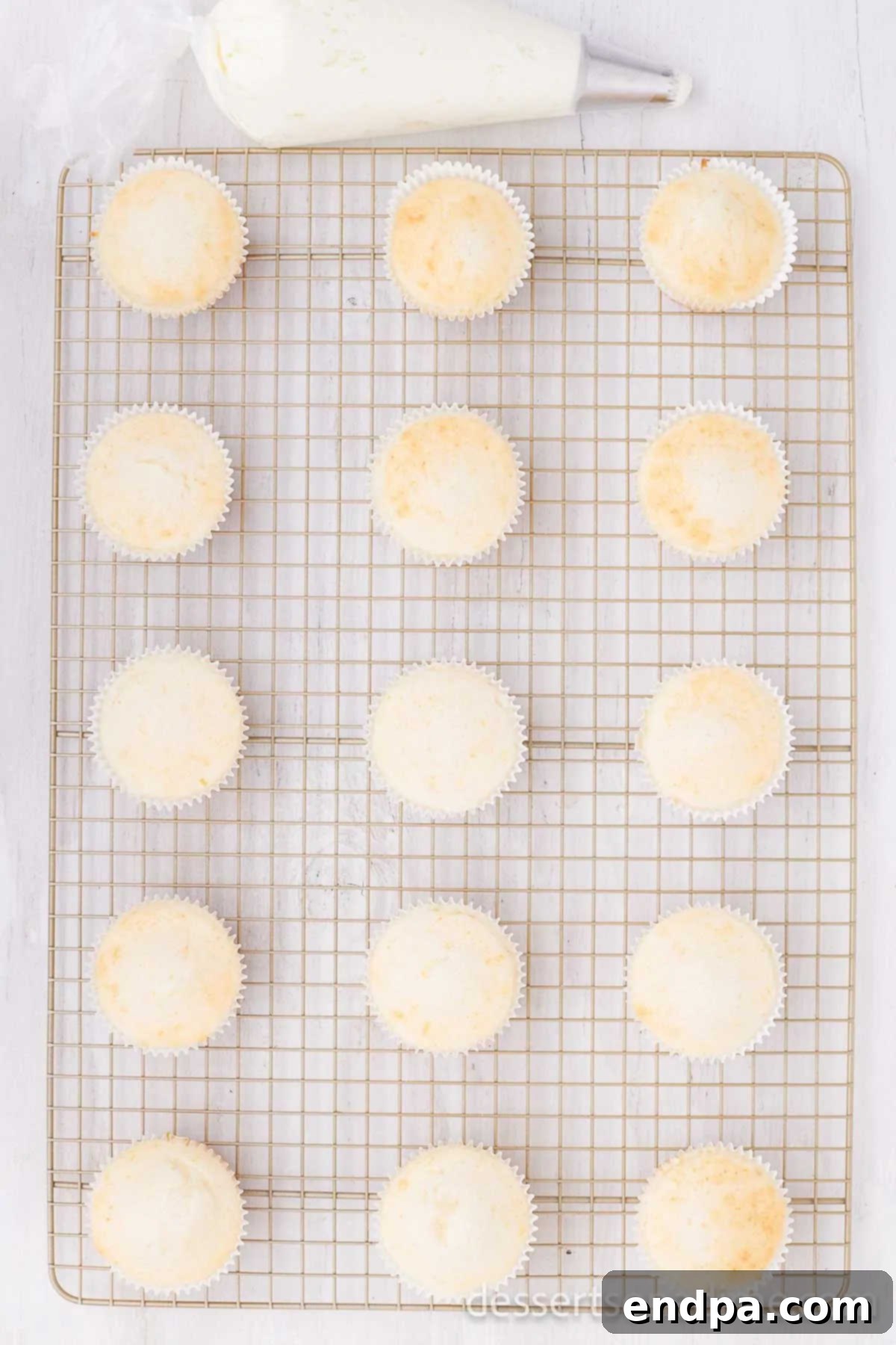 Tequila Lime Cupcakes 6 Cupcakes cooling on wire rack.