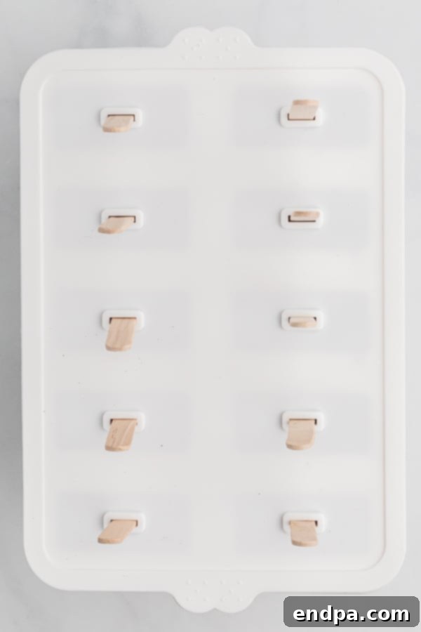 Healthy & Delicious Greek Yogurt Popsicles 6 Popsicle sticks neatly inserted into the filled molds, with the mold lids secured, ready to be placed into the freezer for solidification.