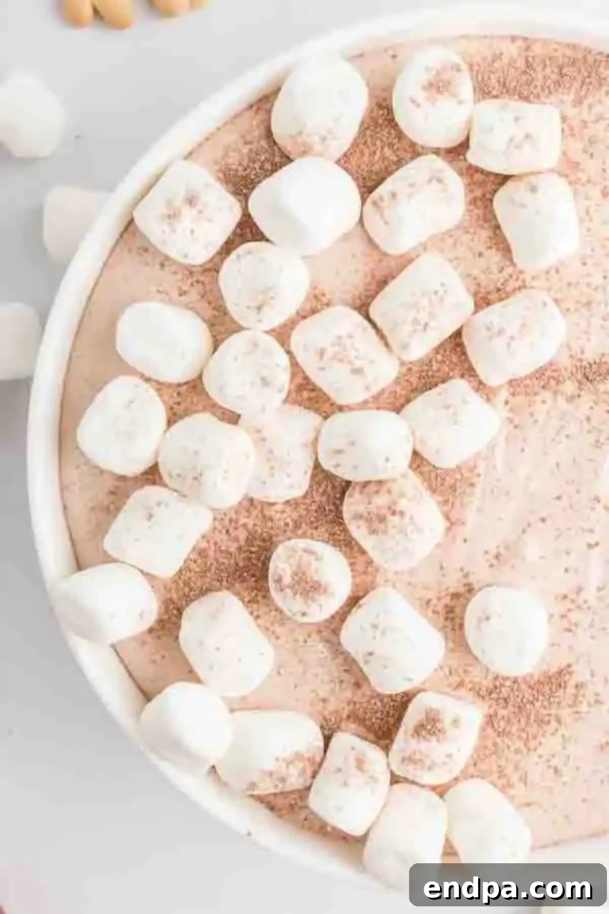 Decadent Hot Chocolate Dip 6 Hot Chocolate Dip in a serving bowl, generously topped with mini marshmallows and other garnishes, ready to be enjoyed.