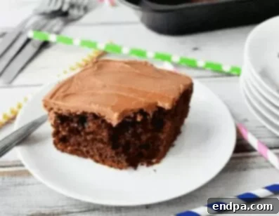 Slice of Cola chocolate cake.