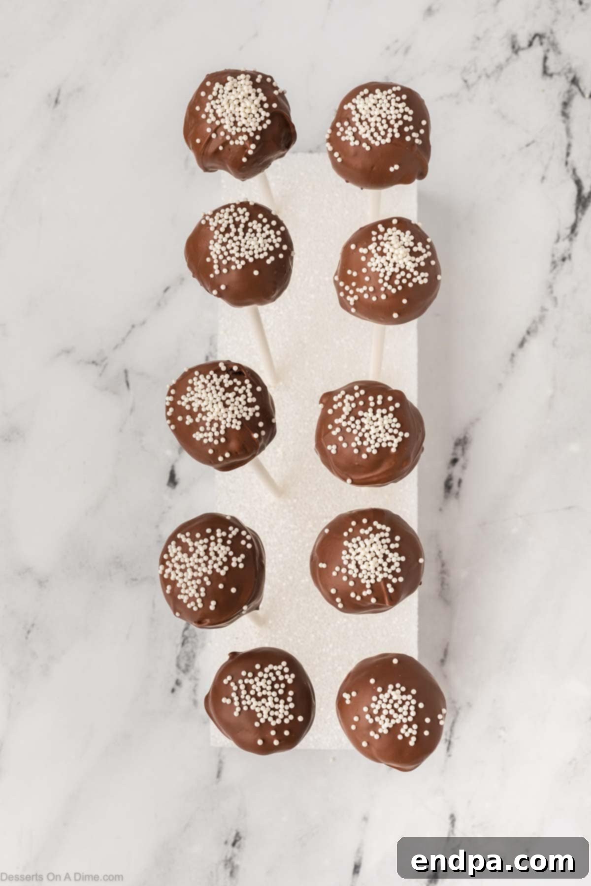 Multiple finished chocolate cake pops with sprinkles, set upright in a stand.