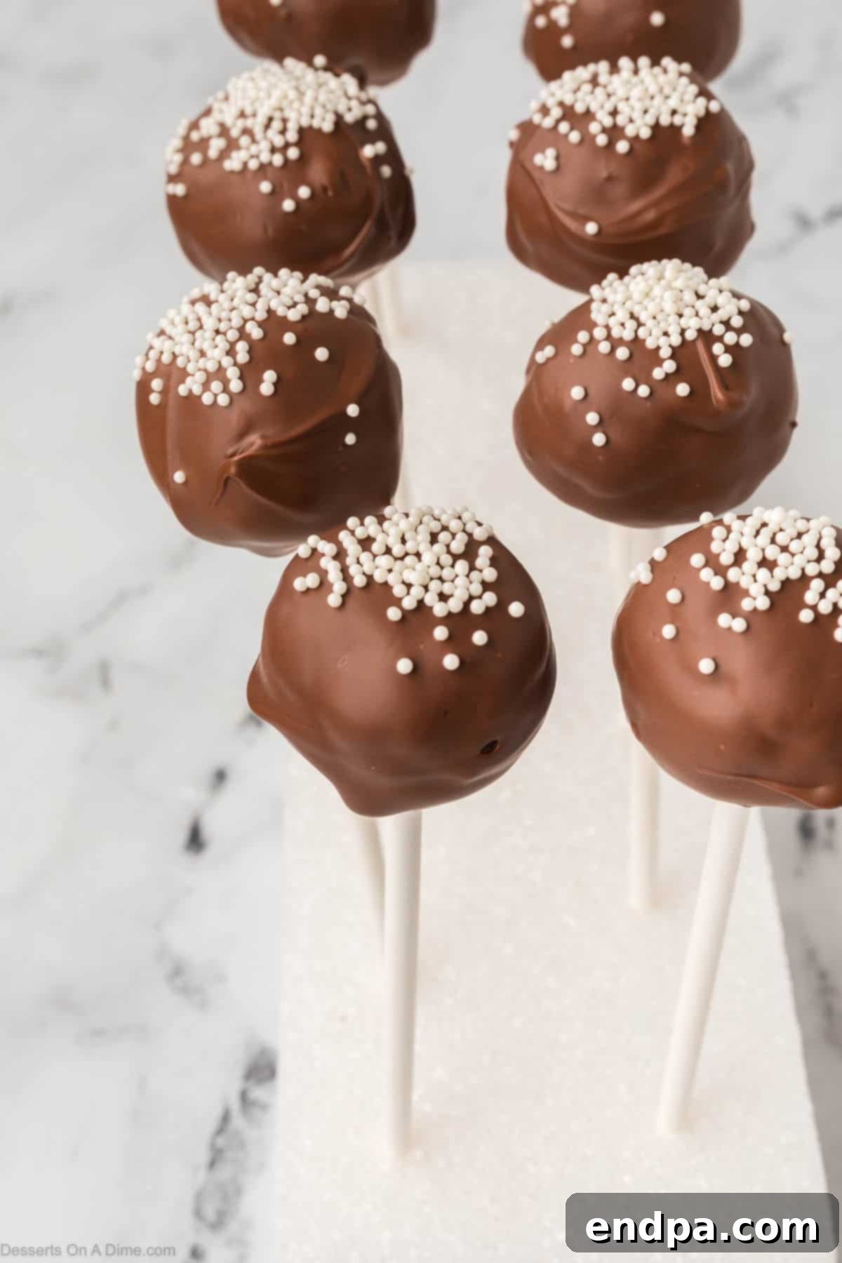 Finished chocolate cake pops topped with sprinkles and inserted in a stand, ready to serve.