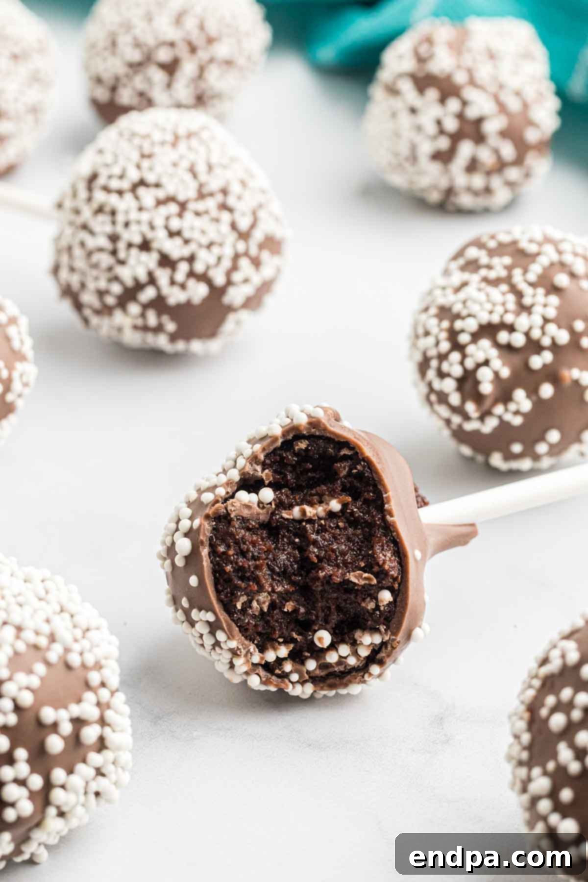 A delicious chocolate cake pop with a bite taken out, revealing the moist interior.