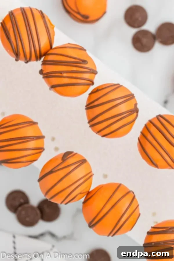 Freshly dipped pumpkin cake pops with chocolate drizzle and sprinkles setting in a styrofoam block.