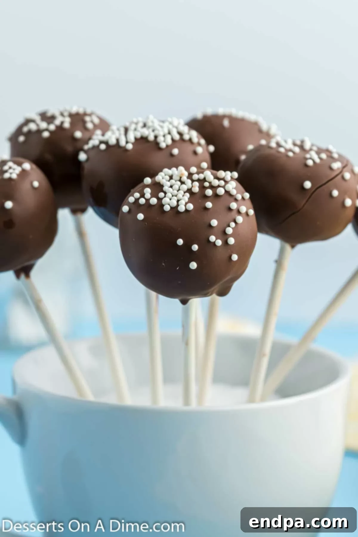 Brownie cake pops in a container with Styrofoam. 