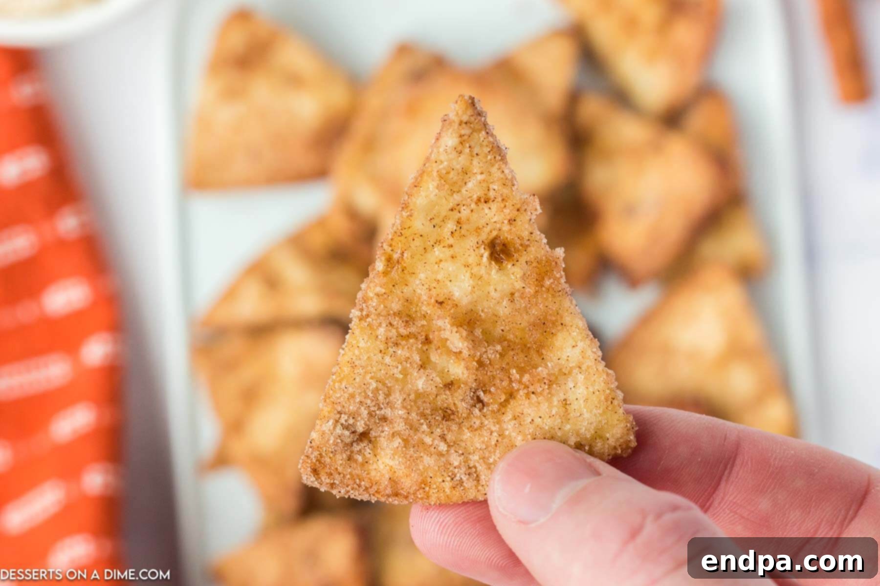 Up close photo of Air fryer churro chips. 