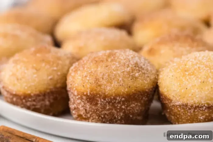 Mini Donut Muffins coated in cinnamon sugar, resembling small cinnamon buns.