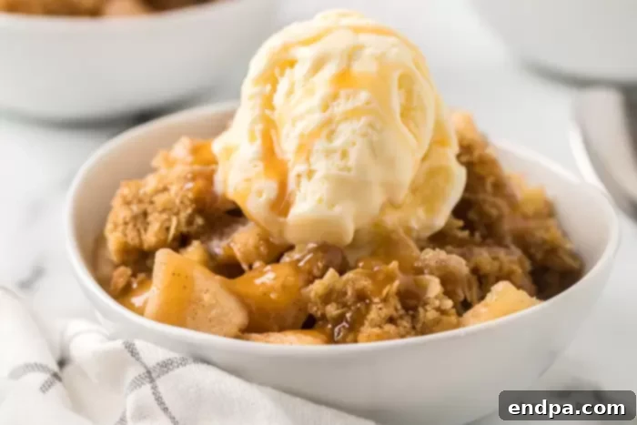 The Best Apple Crisp, golden-brown and bubbling, topped with a scoop of melting ice cream.