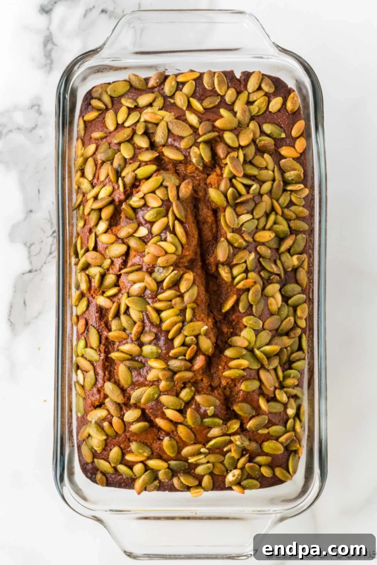 Starbucks Copycat Pumpkin Bread 8 Pumpkin Bread baked until golden brown and cooling in pan.