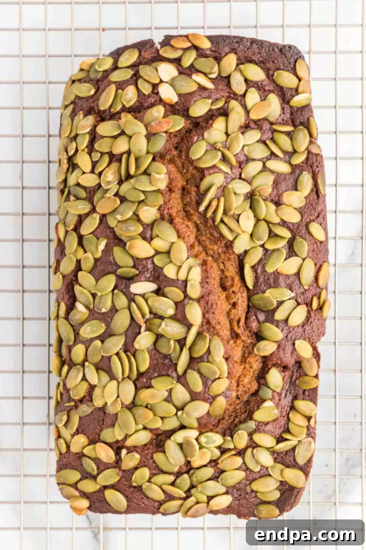 Starbucks Copycat Pumpkin Bread 9 Pumpkin Bread cooling on wire rack.