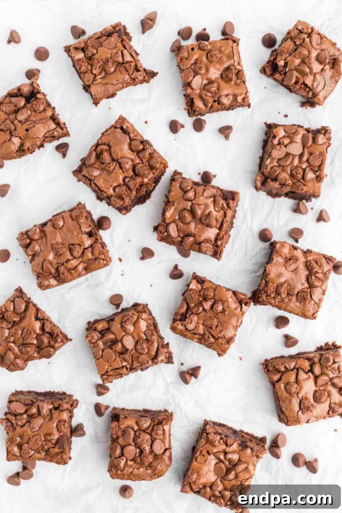 Starbucks brownies cut into perfect squares, ready for serving.