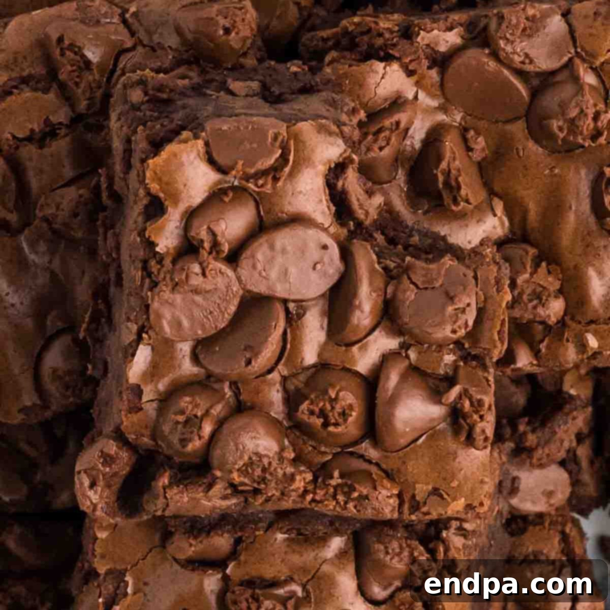 A perfectly cut square of a Starbucks-style brownie, showing its rich, fudgy interior and melted chocolate chips.