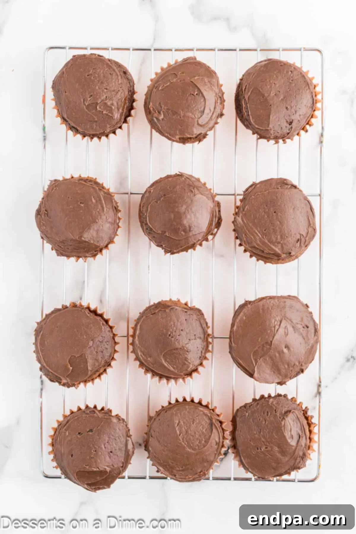 Cooled cupcakes, each topped with a smooth, even layer of rich chocolate frosting.