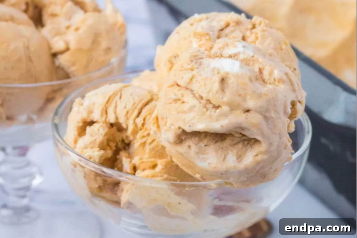 A bowl of freshly made homemade pumpkin ice cream, garnished with a sprinkle of pumpkin pie spice, ready to be enjoyed.