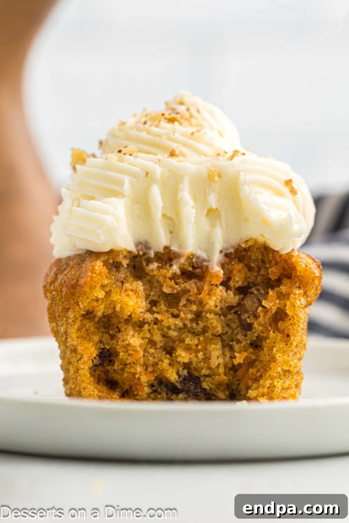 Irresistible Carrot Cake Cupcakes 12 Finished carrot cake cupcakes being frosted with cream cheese frosting.