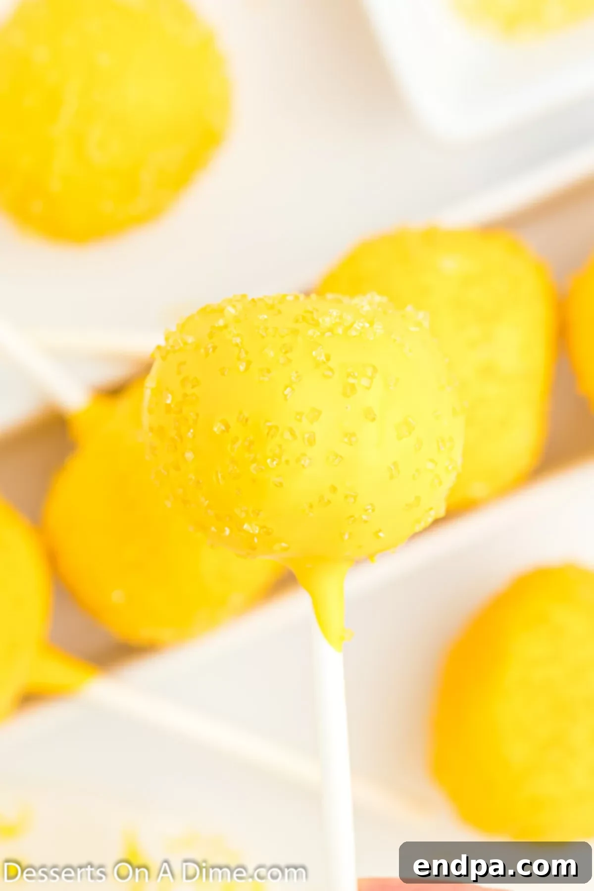 Copycat Starbucks Lemon Cake Pop Recipe 8 Cake pops coated.