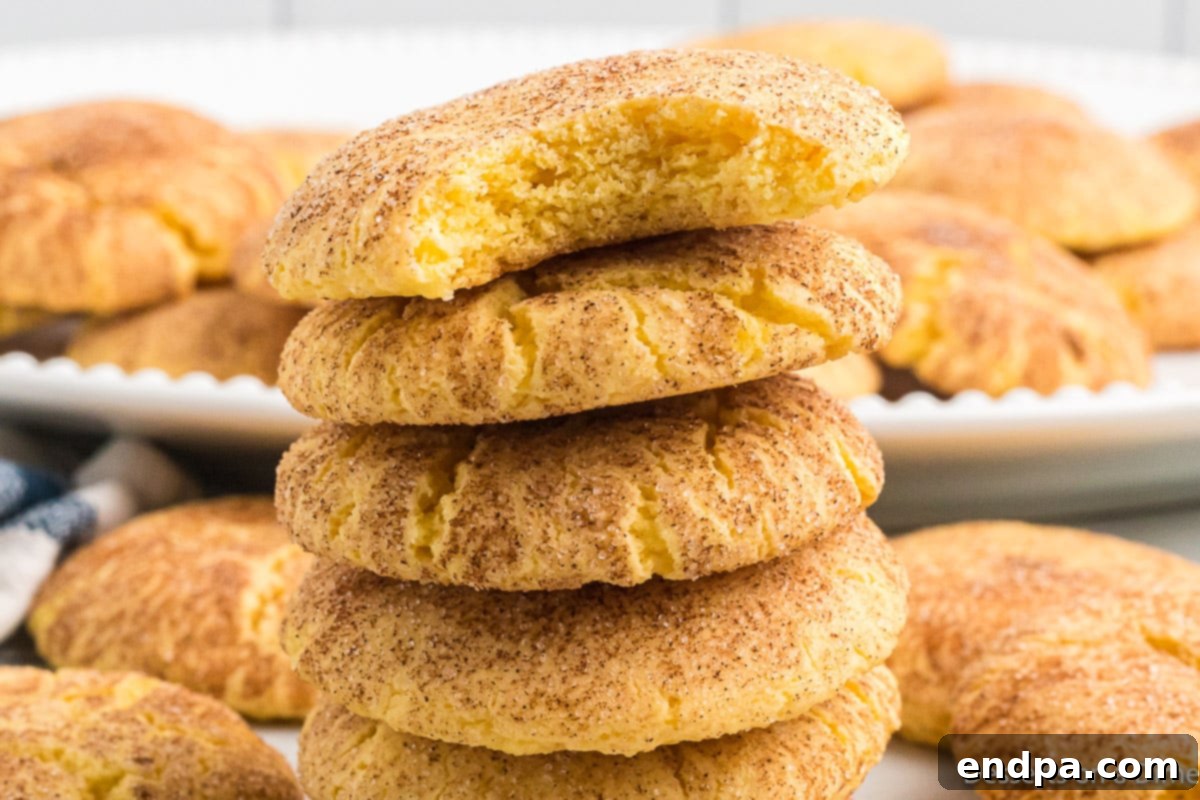 Simple Snickerdoodle Perfection 2 Snickerdoodle cookies stacked neatly together on a rustic surface.