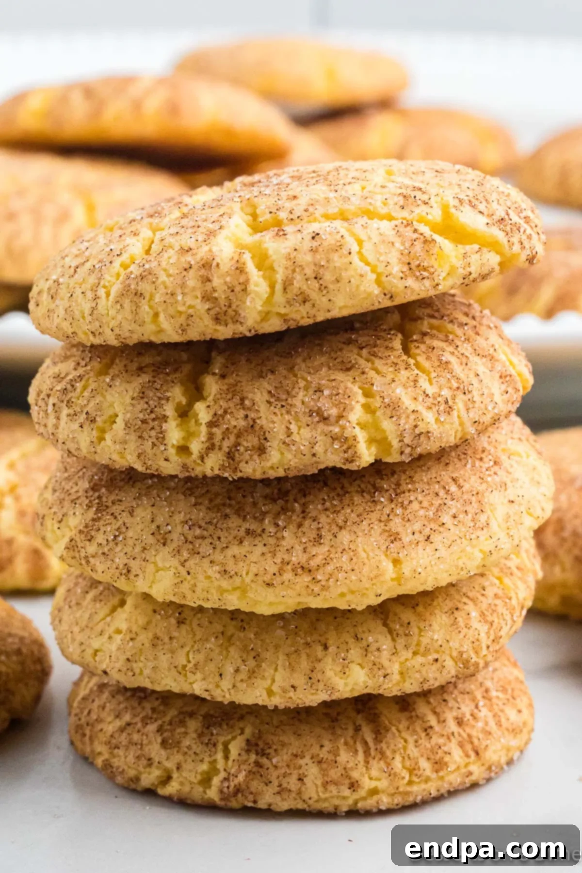 Simple Snickerdoodle Perfection 9 A beautiful stack of soft, chewy Snickerdoodle cookies, coated in cinnamon sugar.