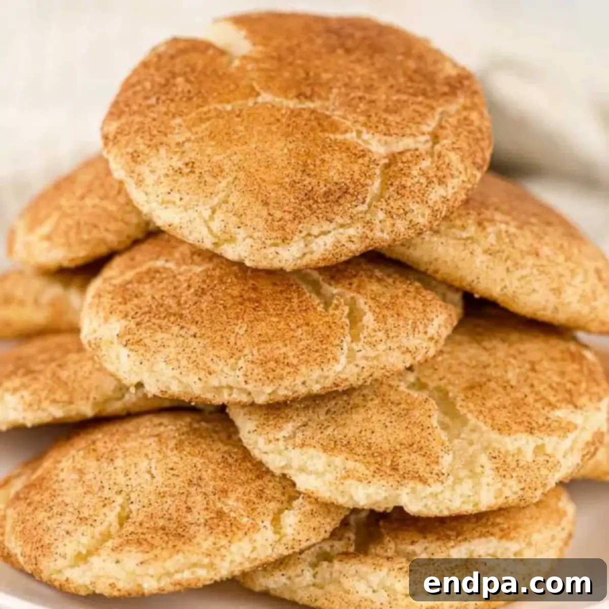 Simple Snickerdoodle Perfection 10 A stack of Snickerdoodle cookies on a white plate.