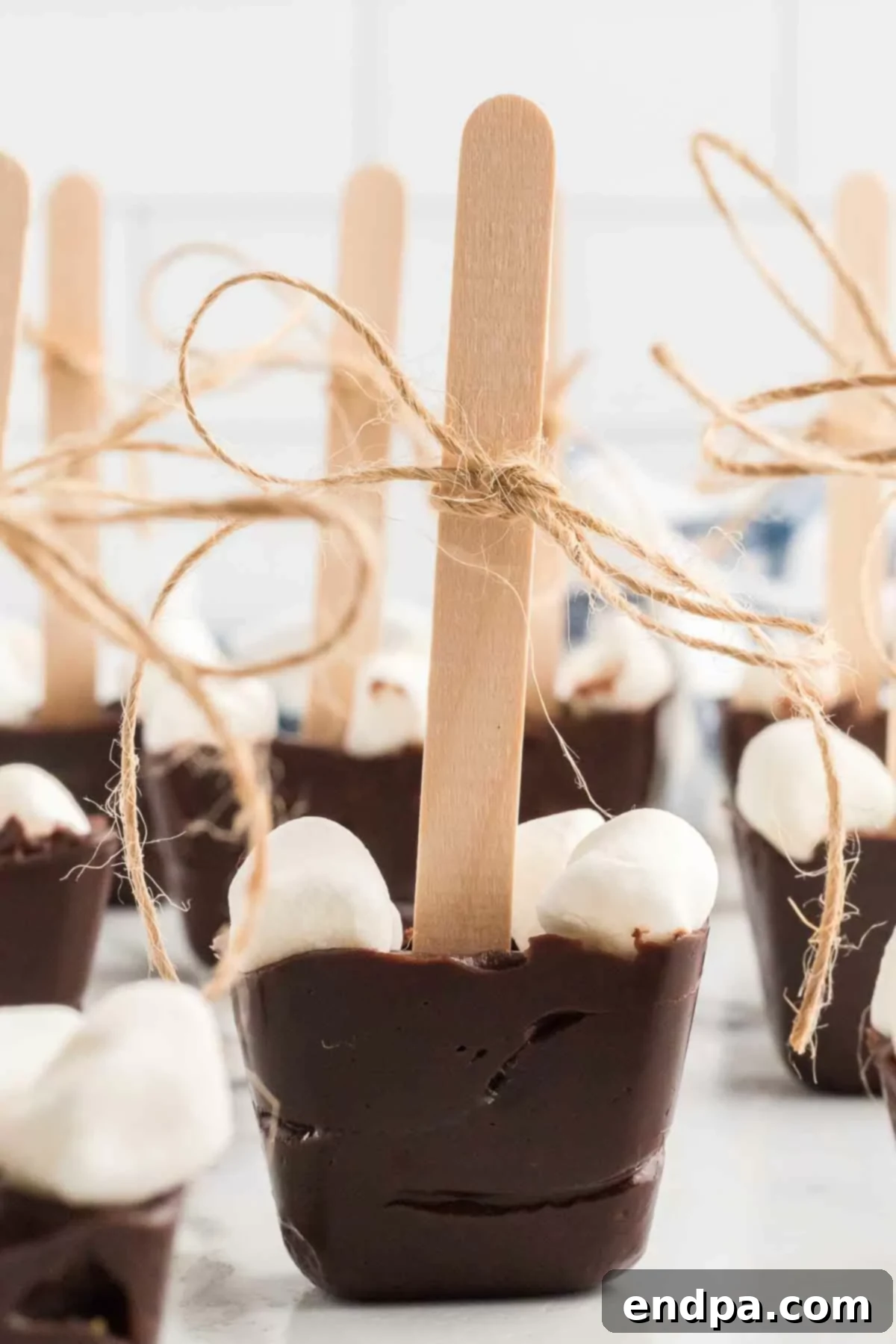 Hot chocolate on a stick, finished and ready to be packaged or enjoyed.