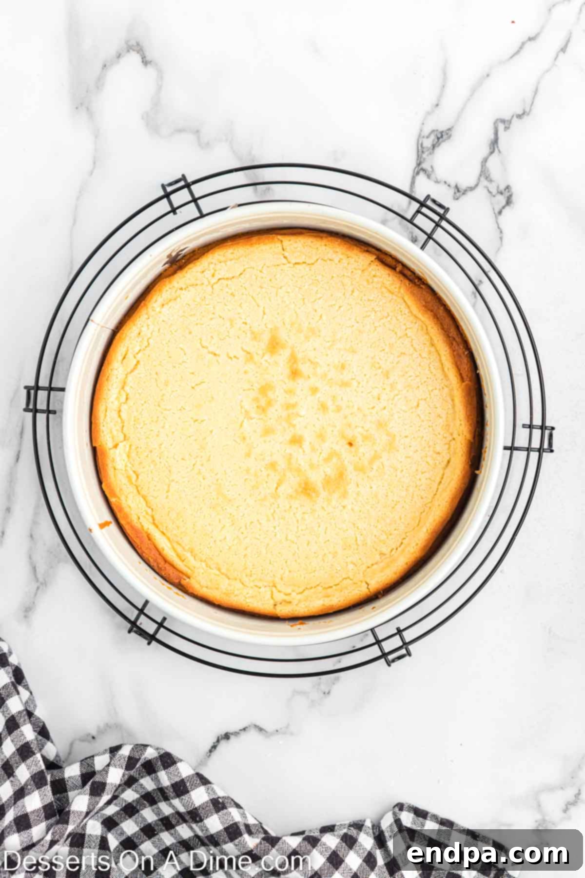 Freshly baked cheesecake cooling in its springform pan.