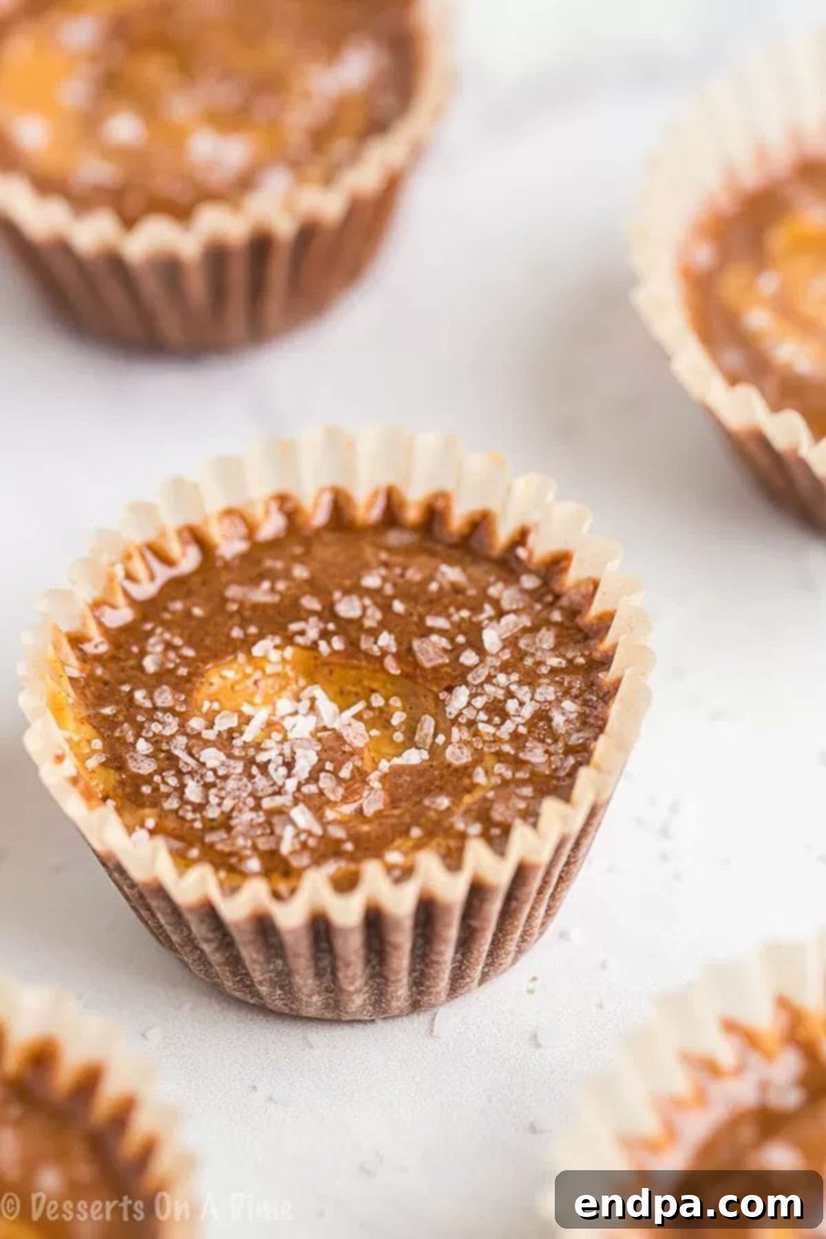 Close up image of delicious keto chocolate peanut butter fat bombs ready to be enjoyed