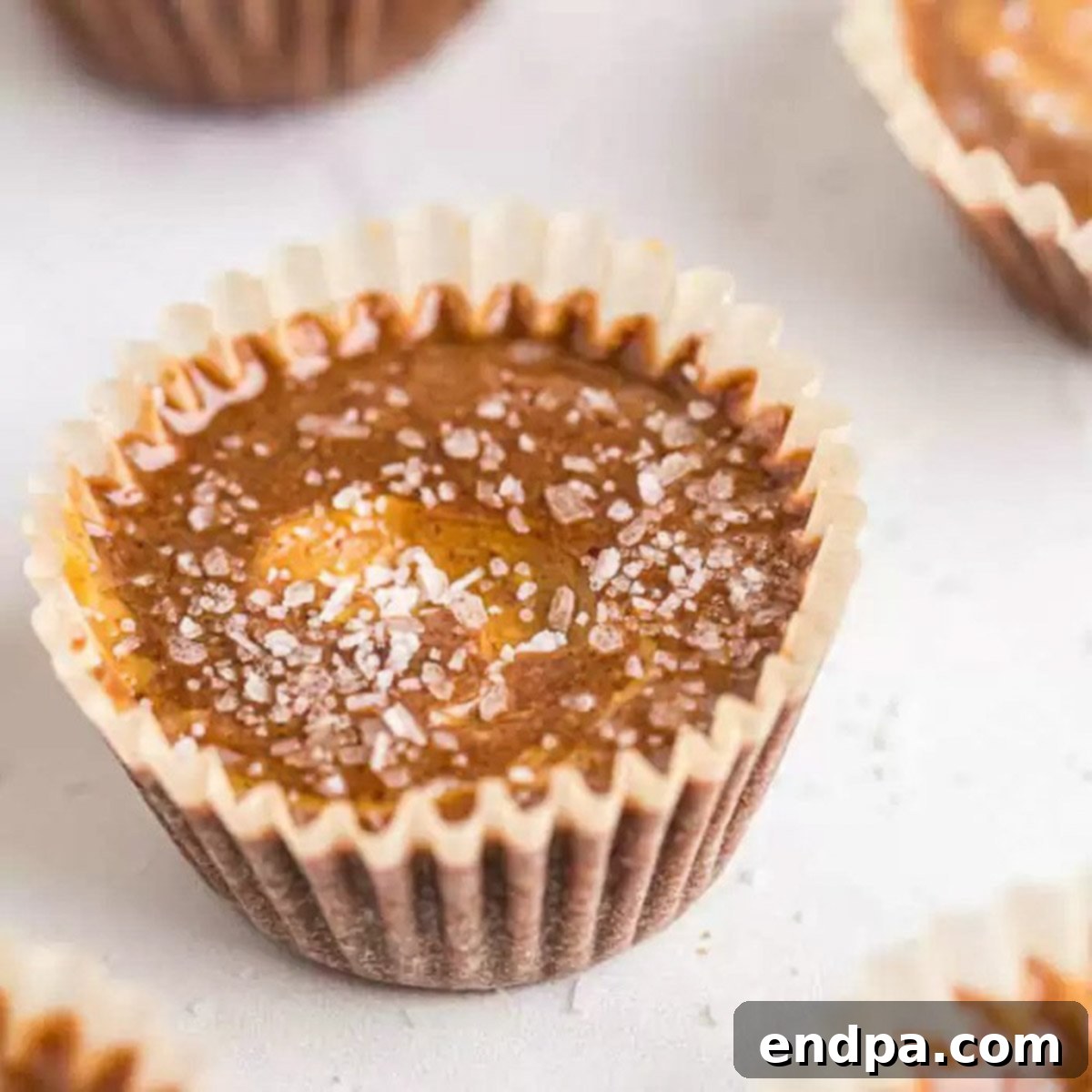 Close up image of delicious keto chocolate peanut butter fat bomb