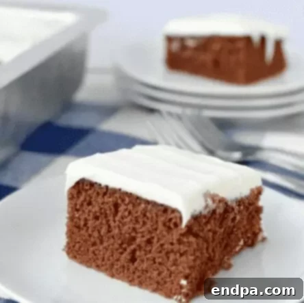 Love Baked Delights 9 Slice of Easy Chocolate Cake with chocolate frosting.