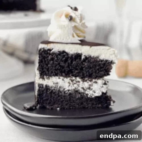 Love Baked Delights 22 Chocolate Champagne Cake with elegant frosting.