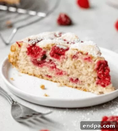 Love Baked Delights 23 Summer Raspberry Cake with powdered sugar and fresh raspberries.