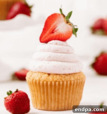 Sweet Valentines Cupcake Creations 16 Vanilla cupcakes with homemade strawberry jam filling and strawberry whipped cream frosting.