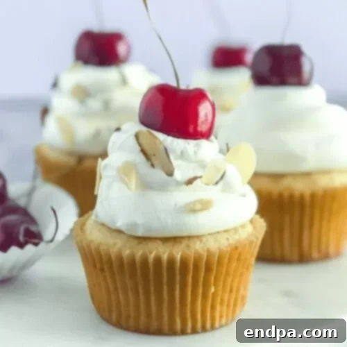 Sweet Valentines Cupcake Creations 18 Cherry Almond Cupcakes with fresh cherry and almond garnish.
