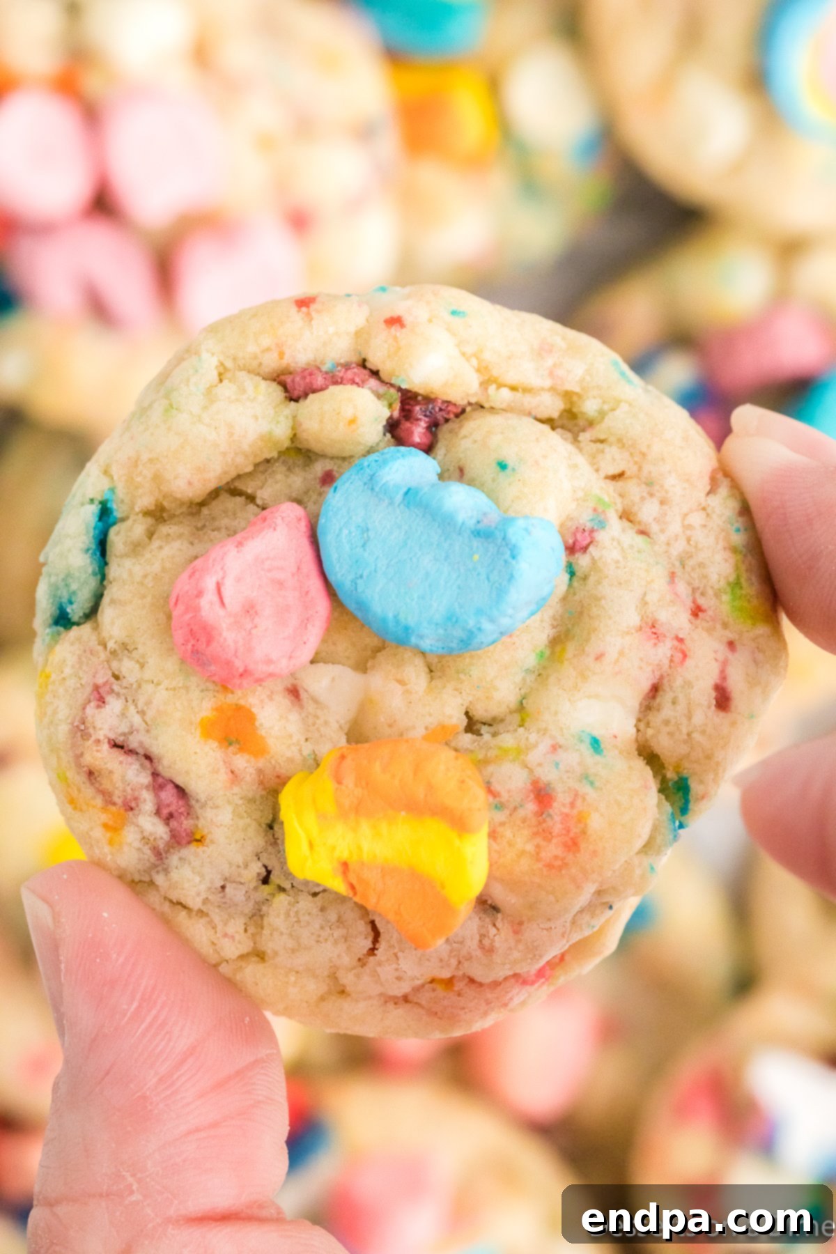 Lucky charm cookie close up. 