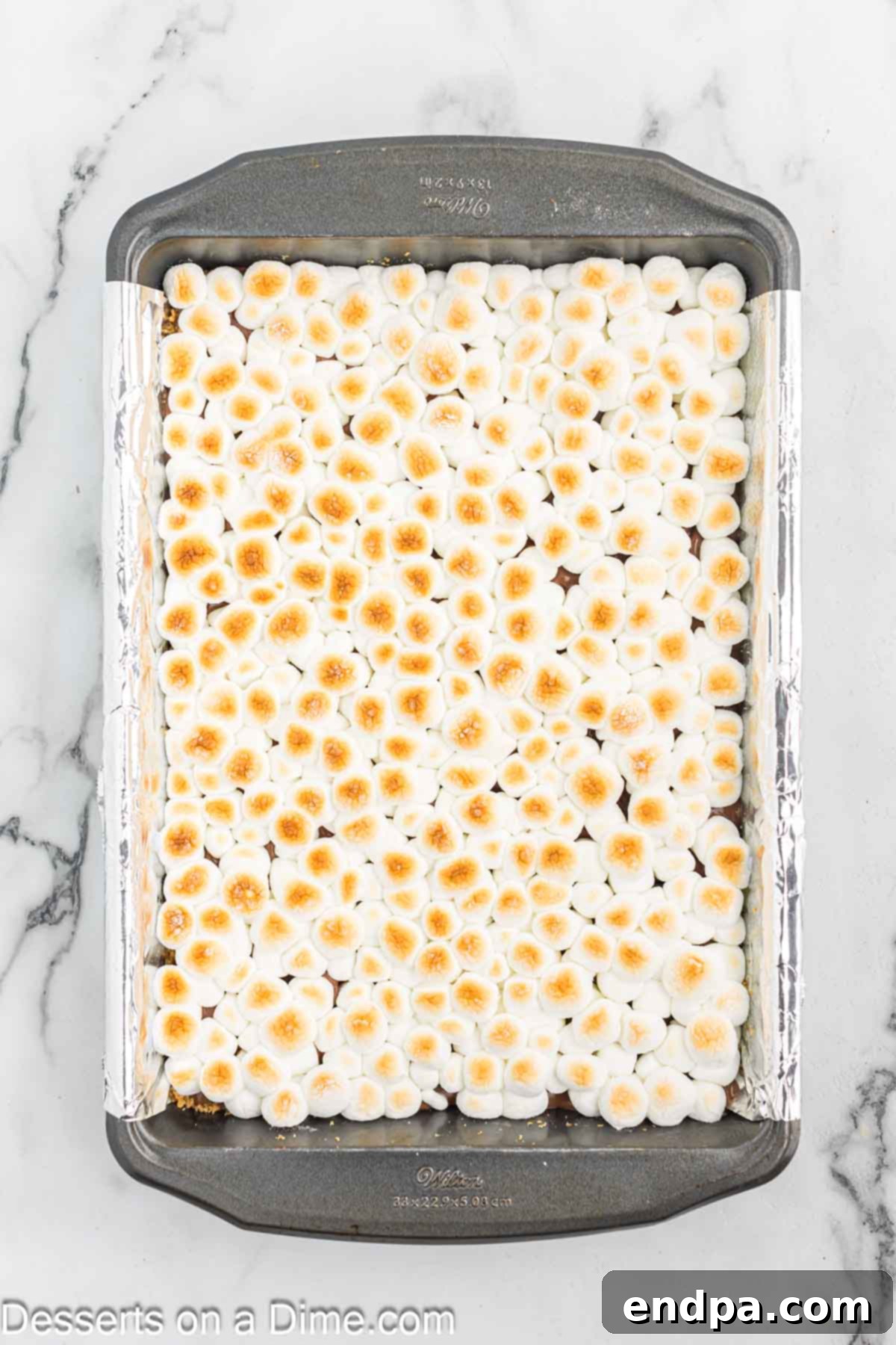 Gooey S'mores Delights 8 Marshmallows broiled until golden brown and toasted.